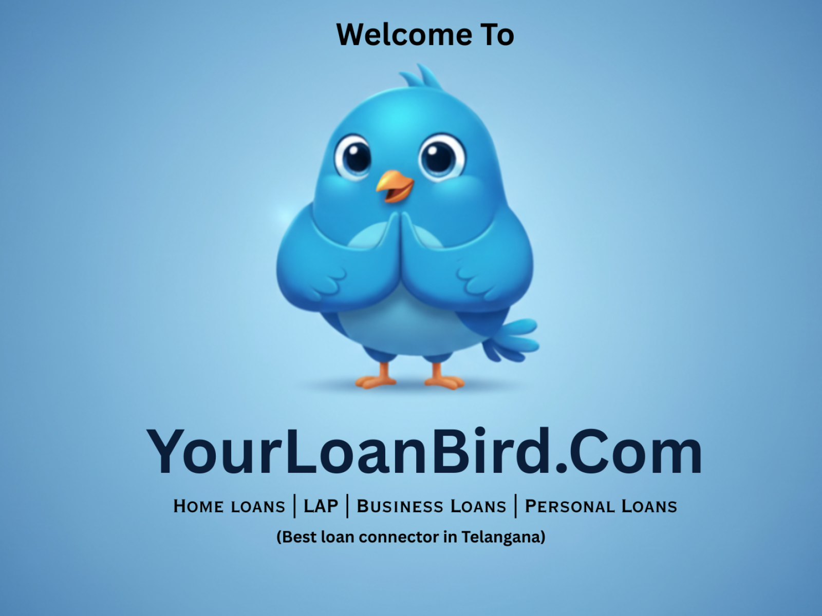 YourLoanBird.Com